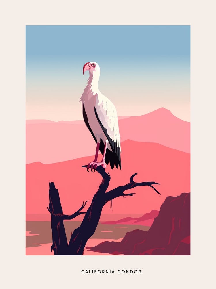 Minimalist California Condor 2 Bird Poster