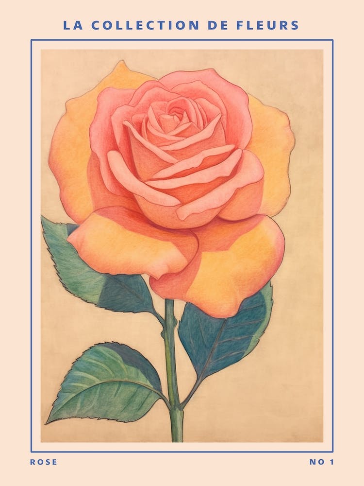 Rose French Flower Botanical Poster