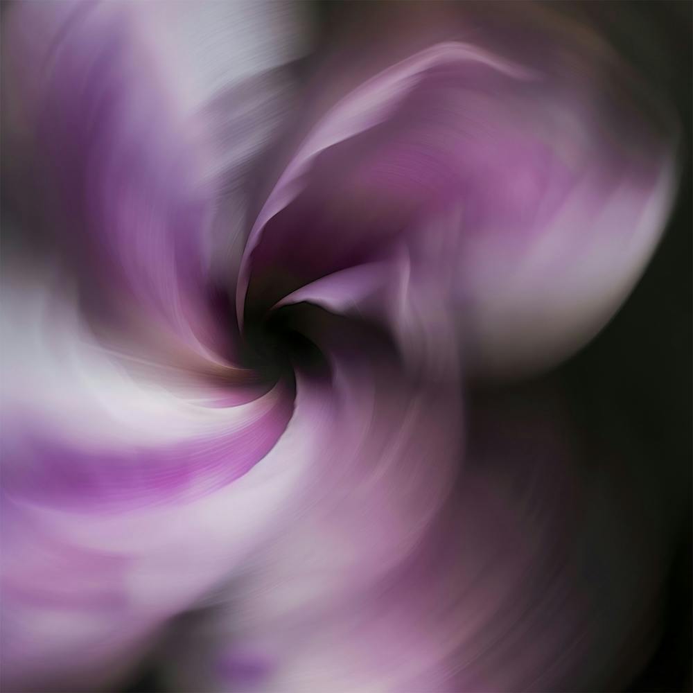 Purple Flower