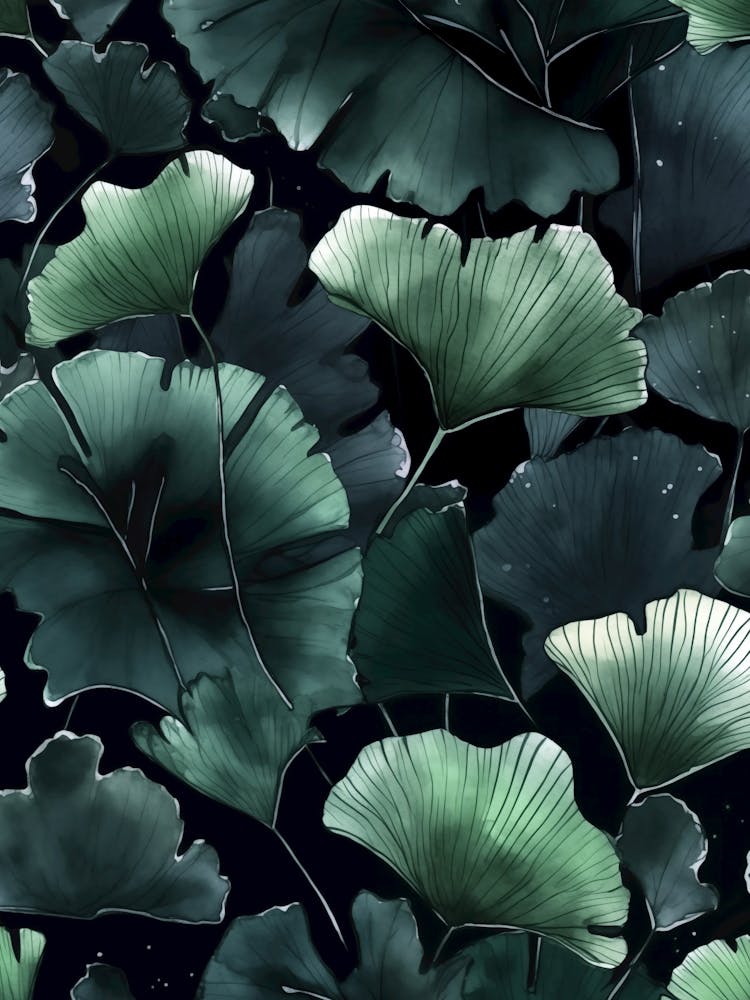 Gingko biloba Blätter
