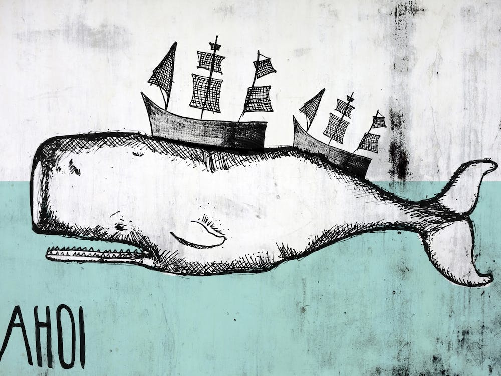 Ahoi