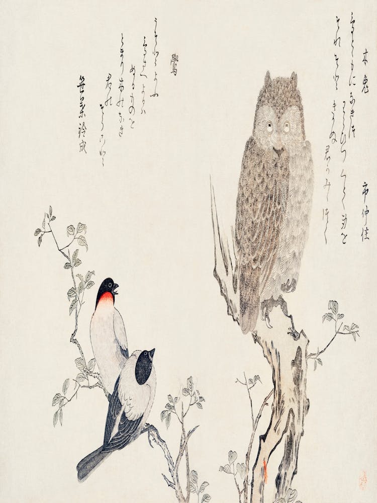 Pair Of Owls