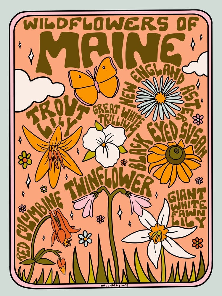 Maine Wildflowers