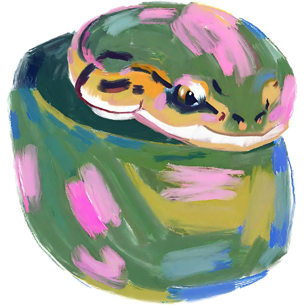 Ball Python Snake 05