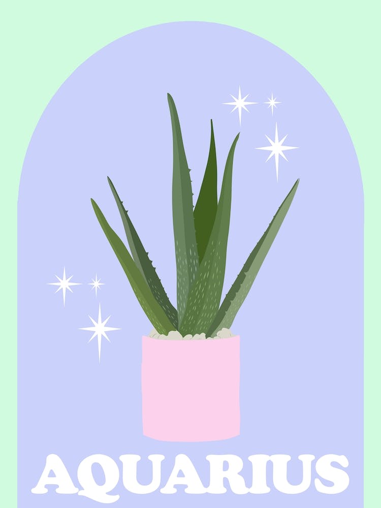 Botanical Star Sign Aquarius