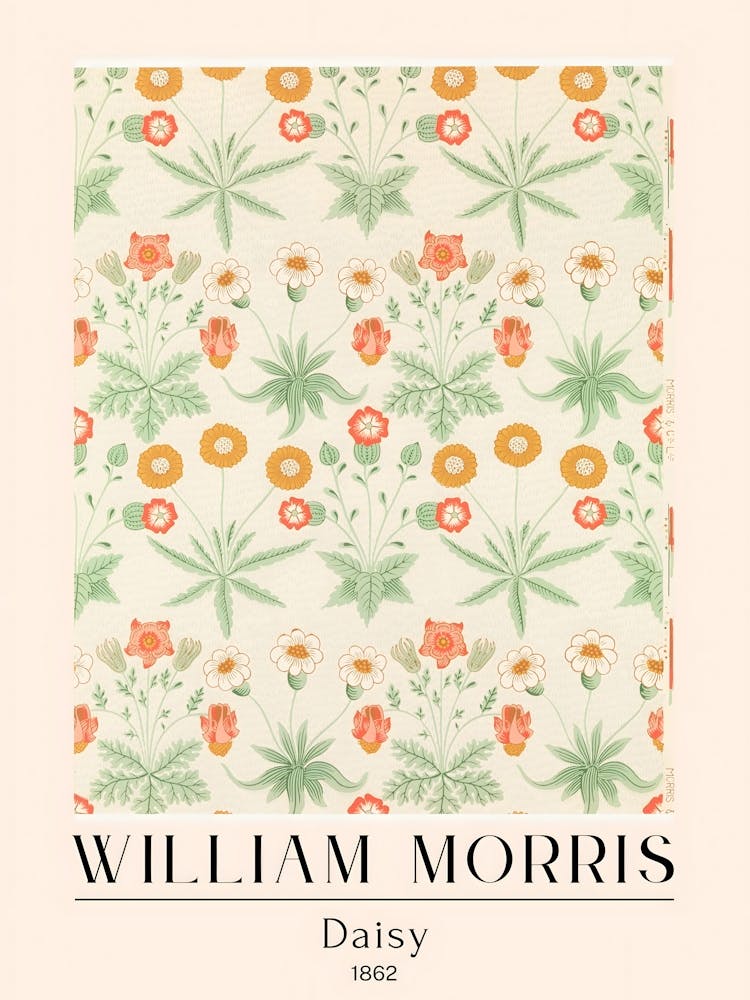 William Morris - Daisy