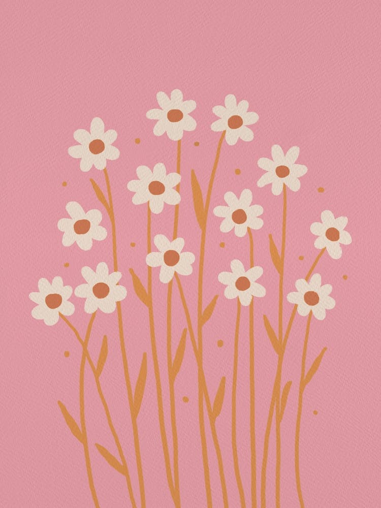 Simple Daisies Pink And Peach