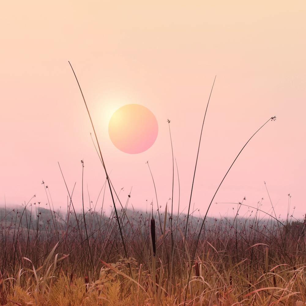 Minimal Sunset In The Forest Square