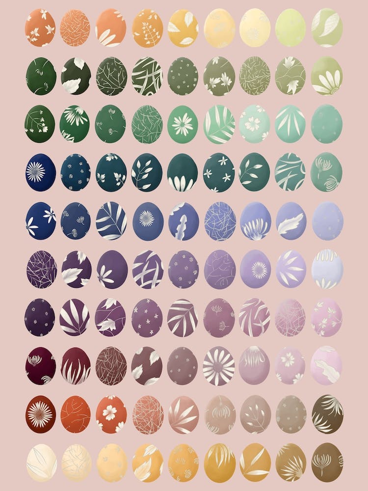 Colour Chart For Birds