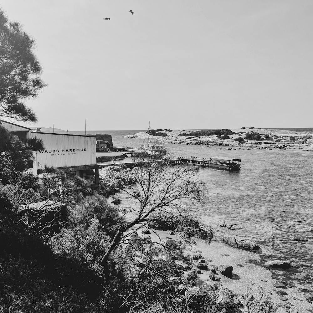 Tasmania Harbour black and white