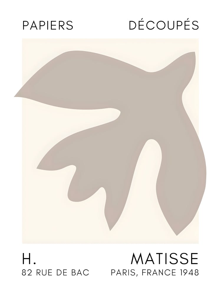 Matisse 12