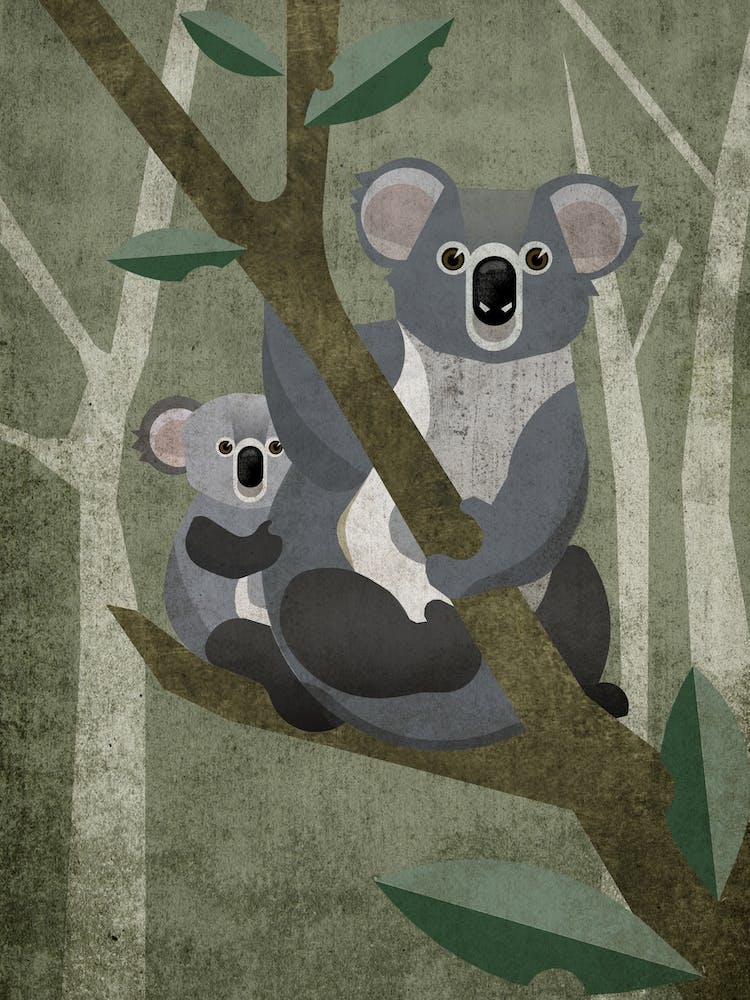 Illu Koala