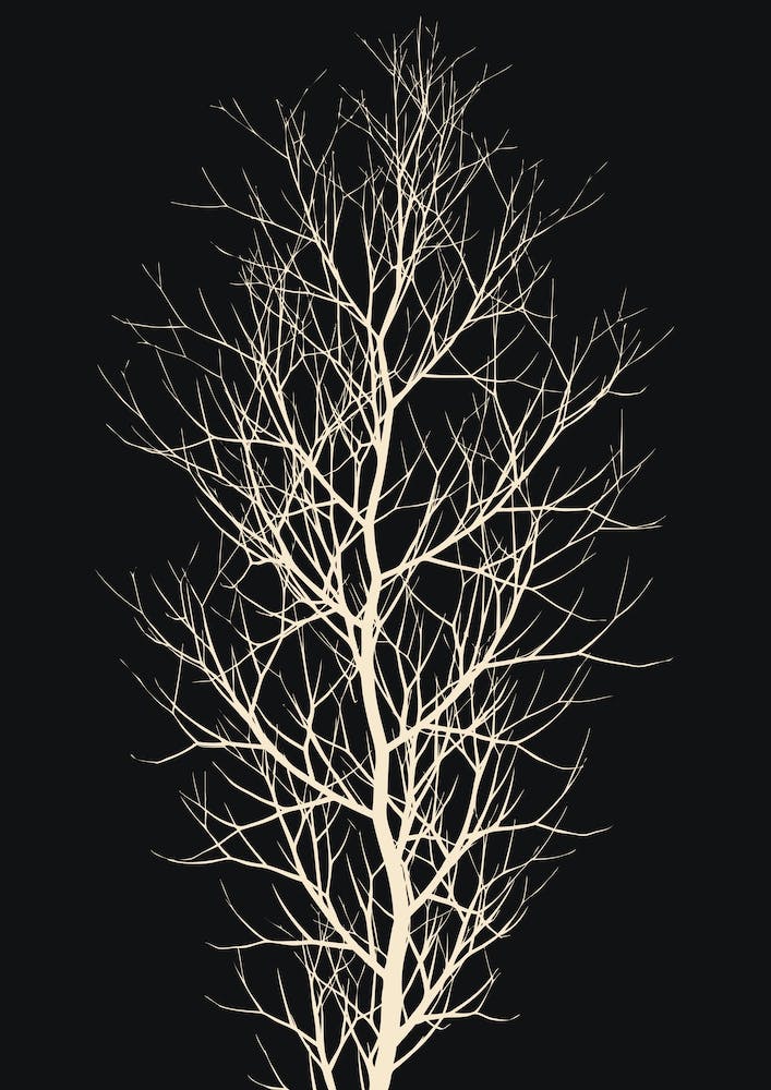 The Fairytale Tree