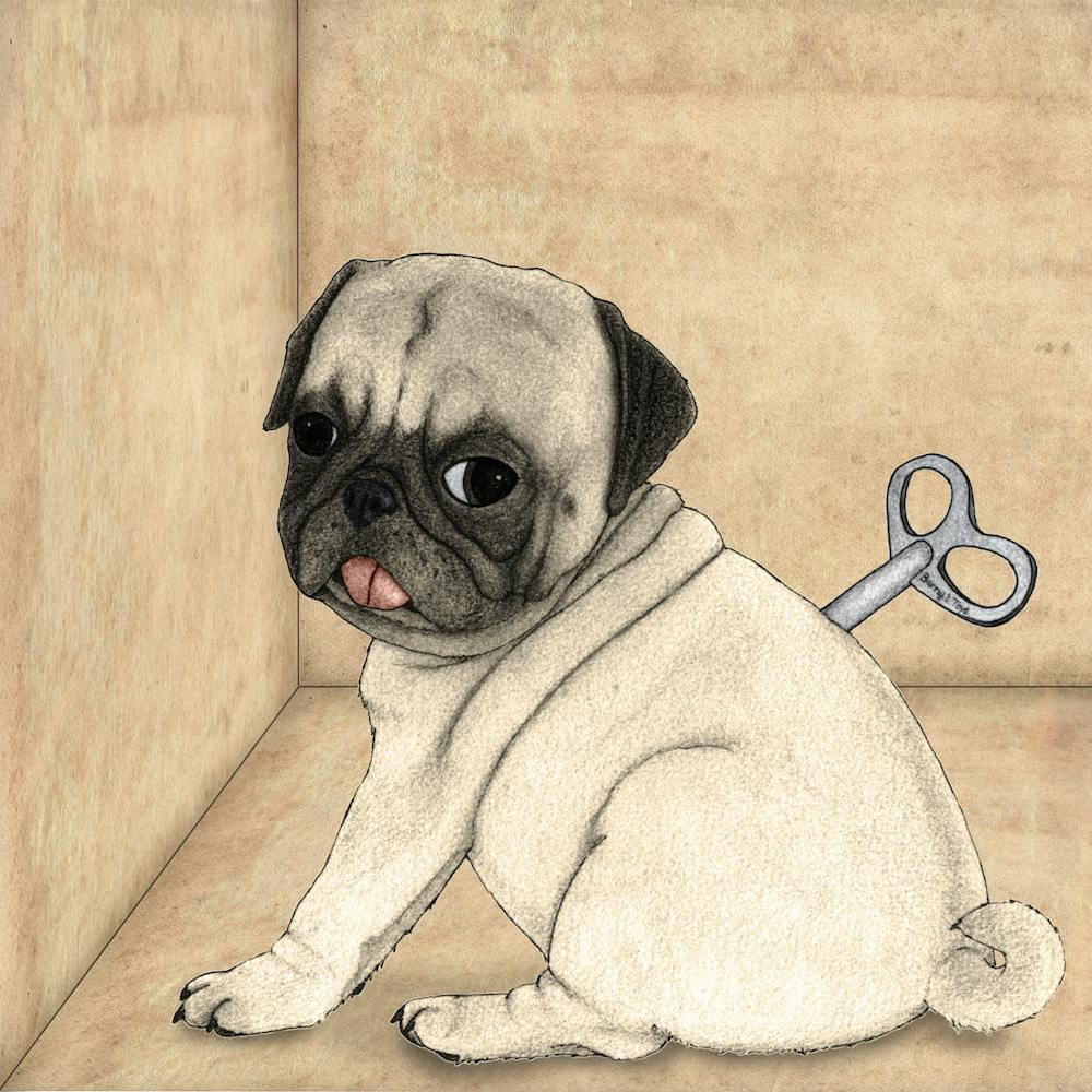 Toy Dog Square