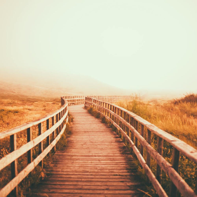 Foggy Day
