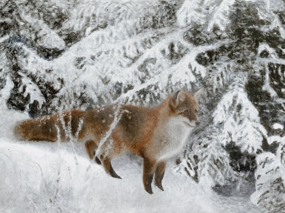 Red Fox In The Snow, Winter Wall Art, Vintage Animal Art