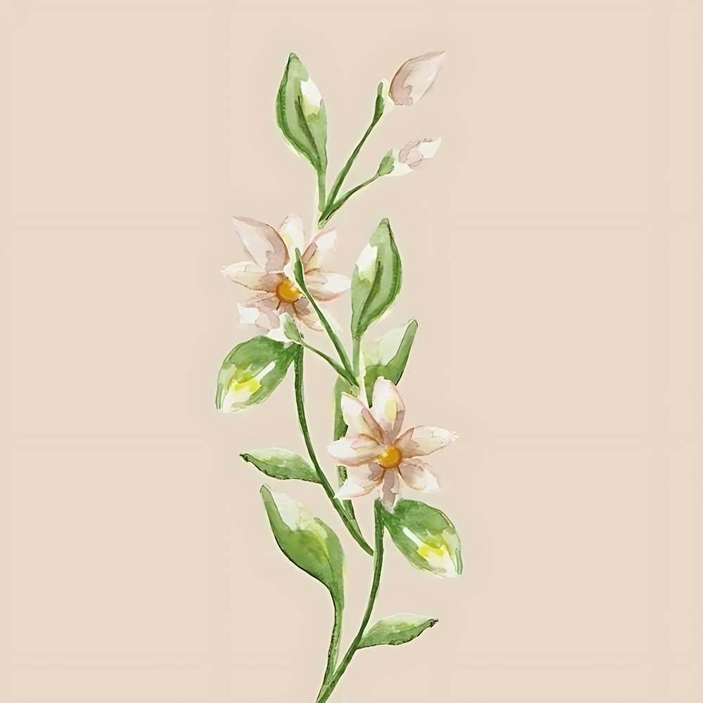 Watercolor Flowers 8