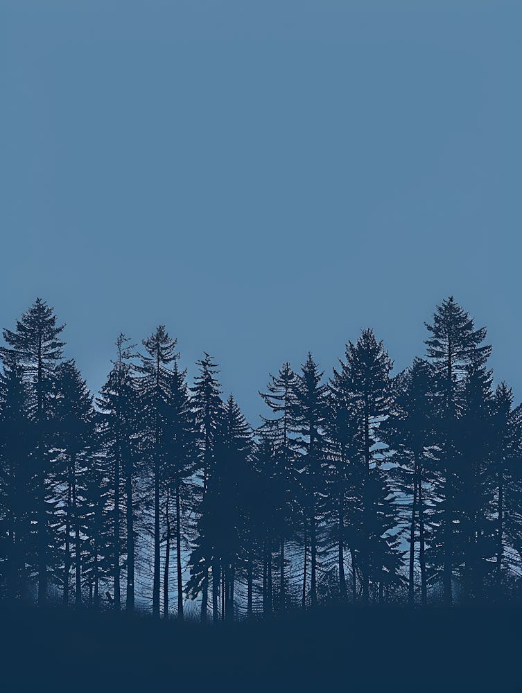 Silhouette Of Pine Trees