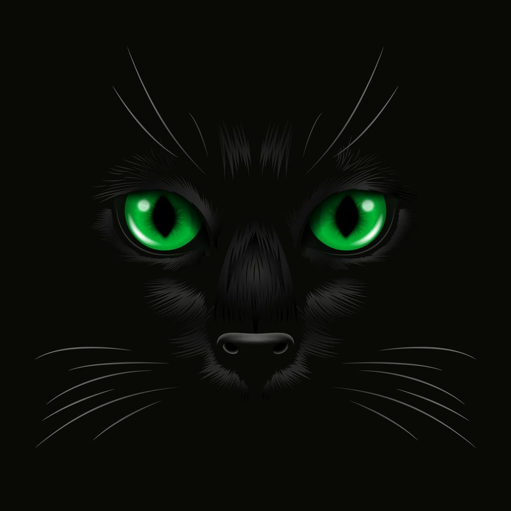 Black Cat With Green Eyes
