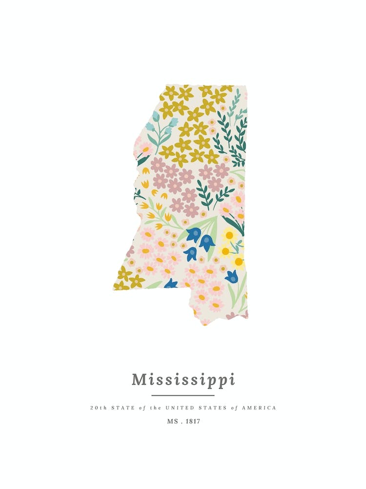 Mississippi | Wildflower Mix