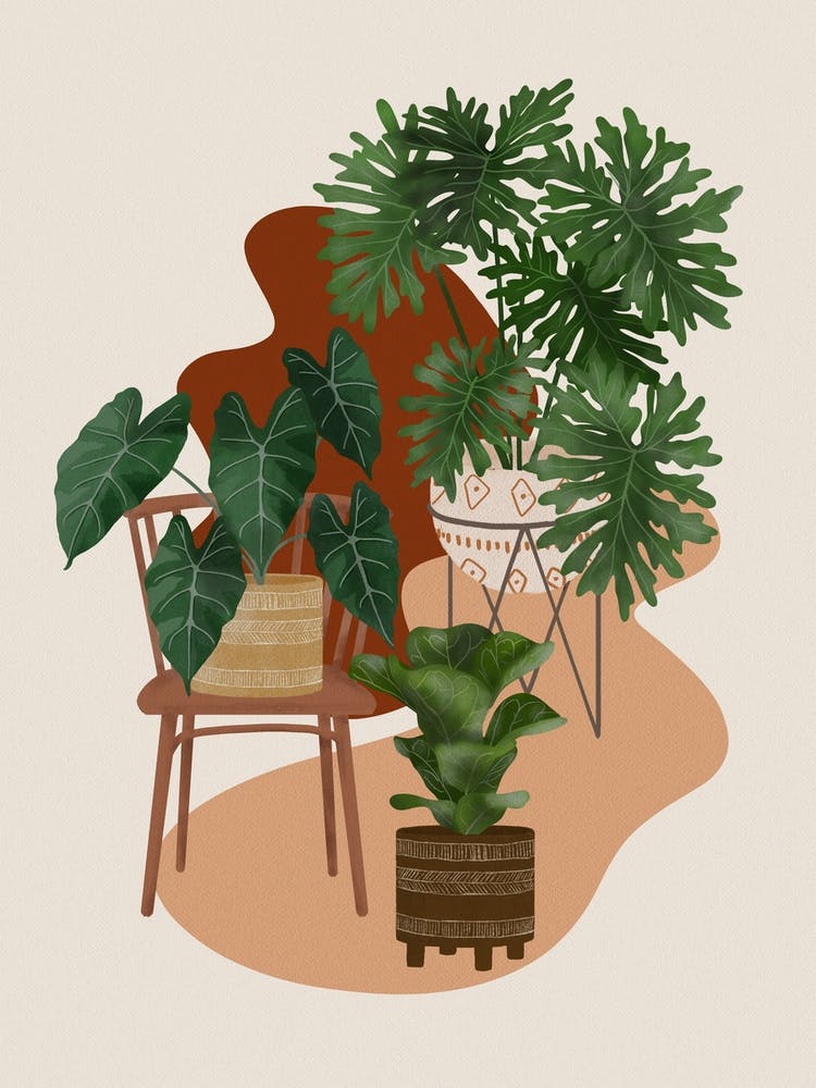 Modern Boho Plants 3