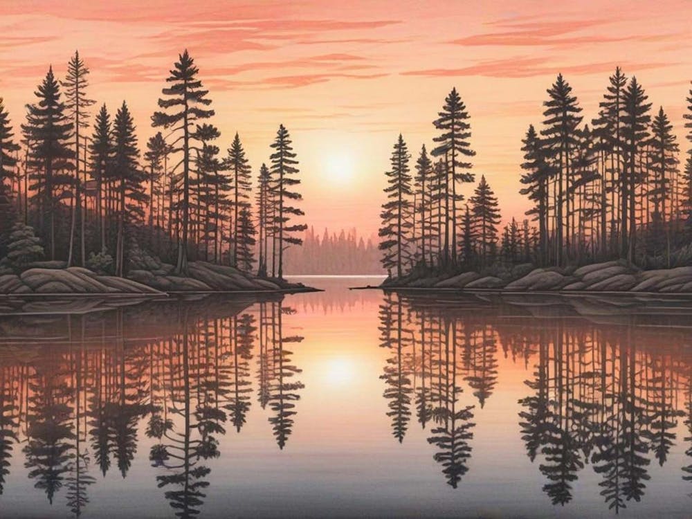 Sunset In The Forest 1