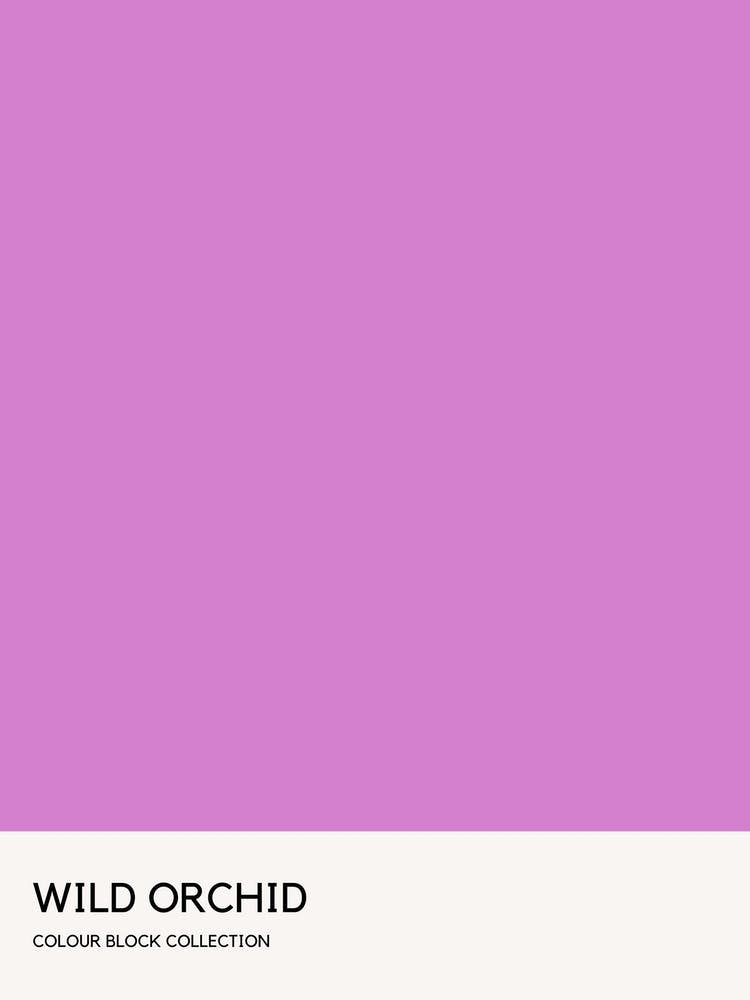 Wild Orchid Colour Block Poster