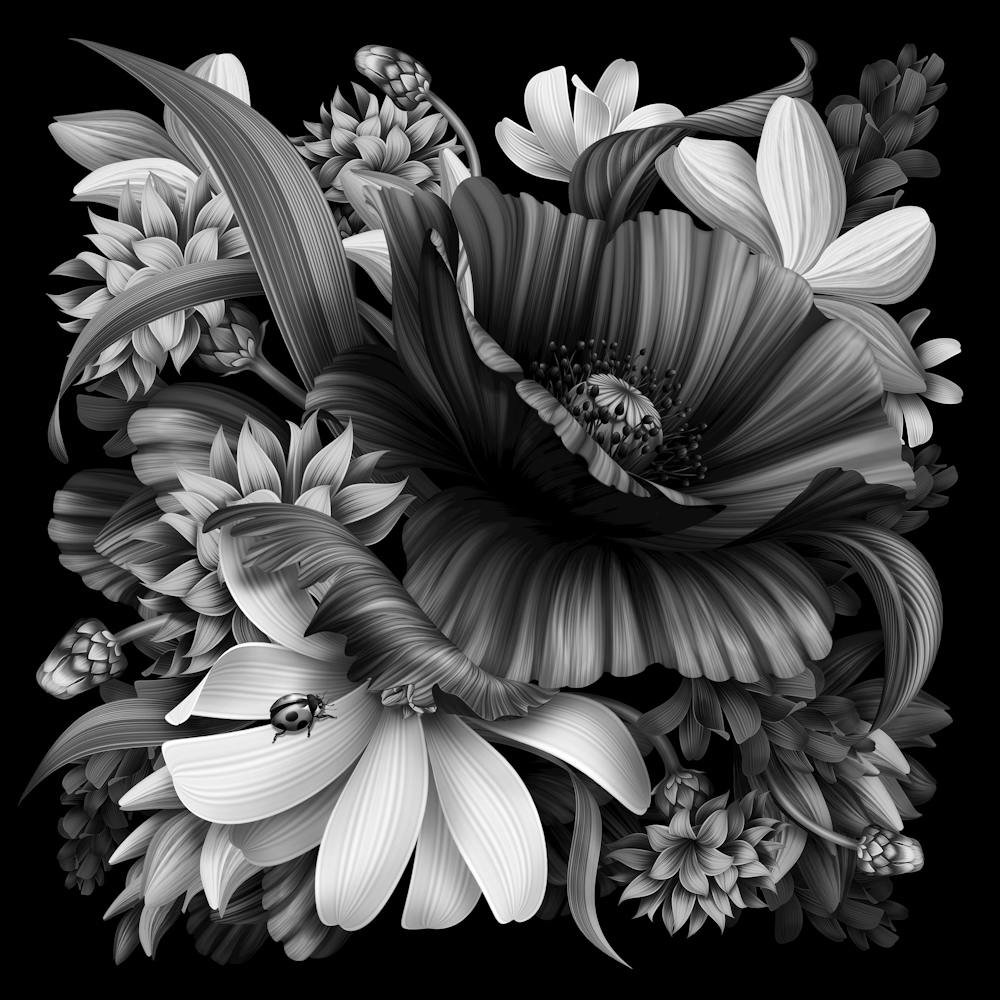 Black And White Flowers 79