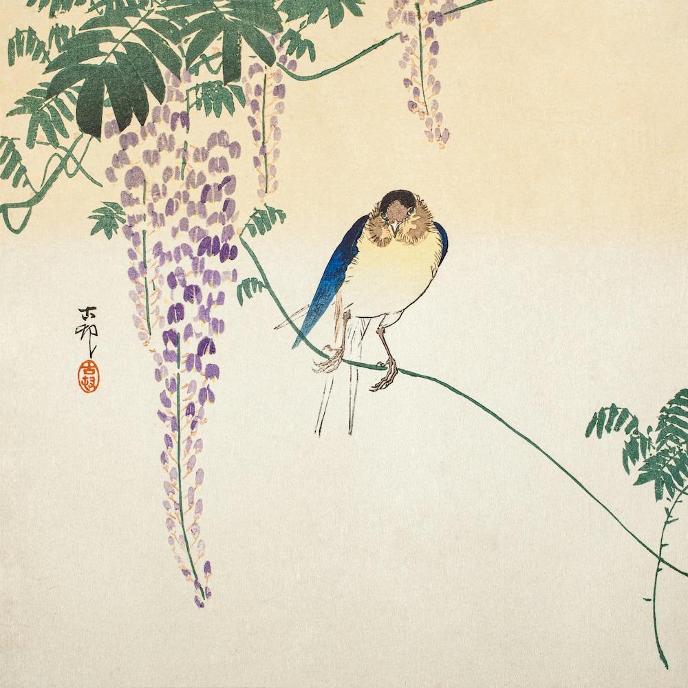 Wisteria And Swallow, Ohara Koson