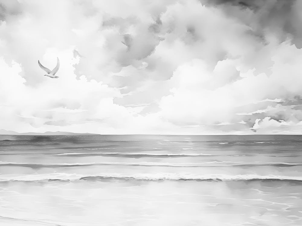 Seagulls On The Beach