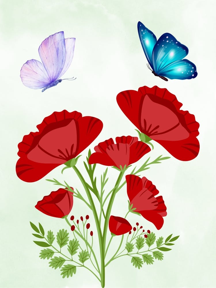 Coquelicots Et Papillons