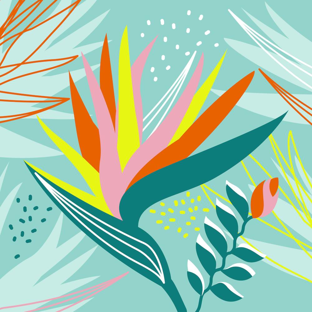 Bird Of Paradise