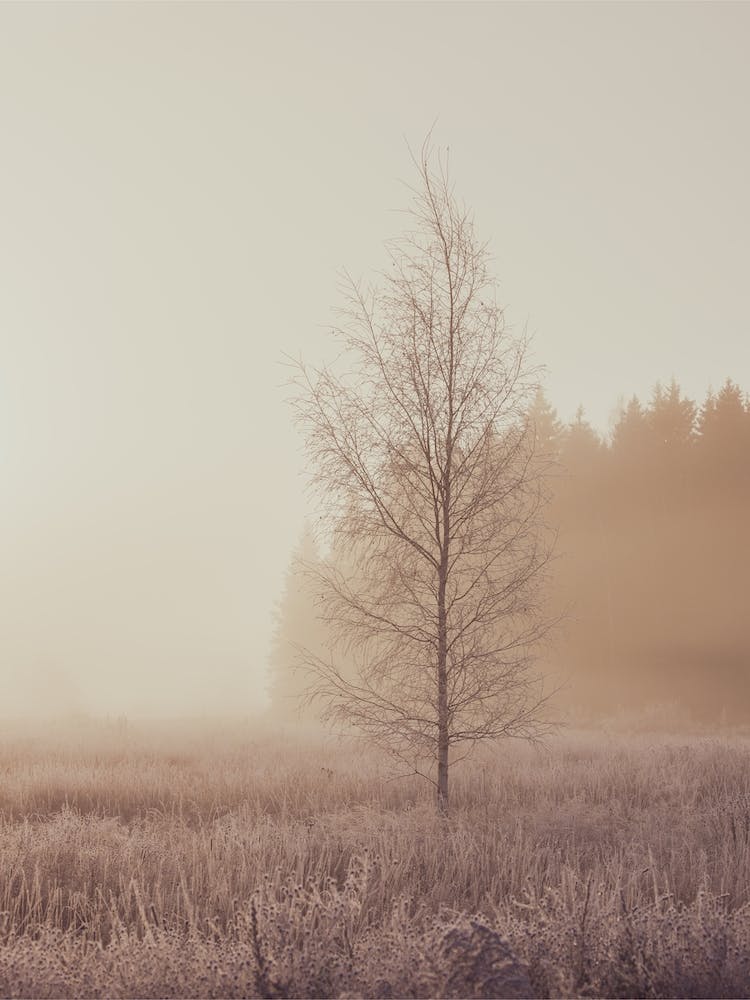 Warten auf den Winter