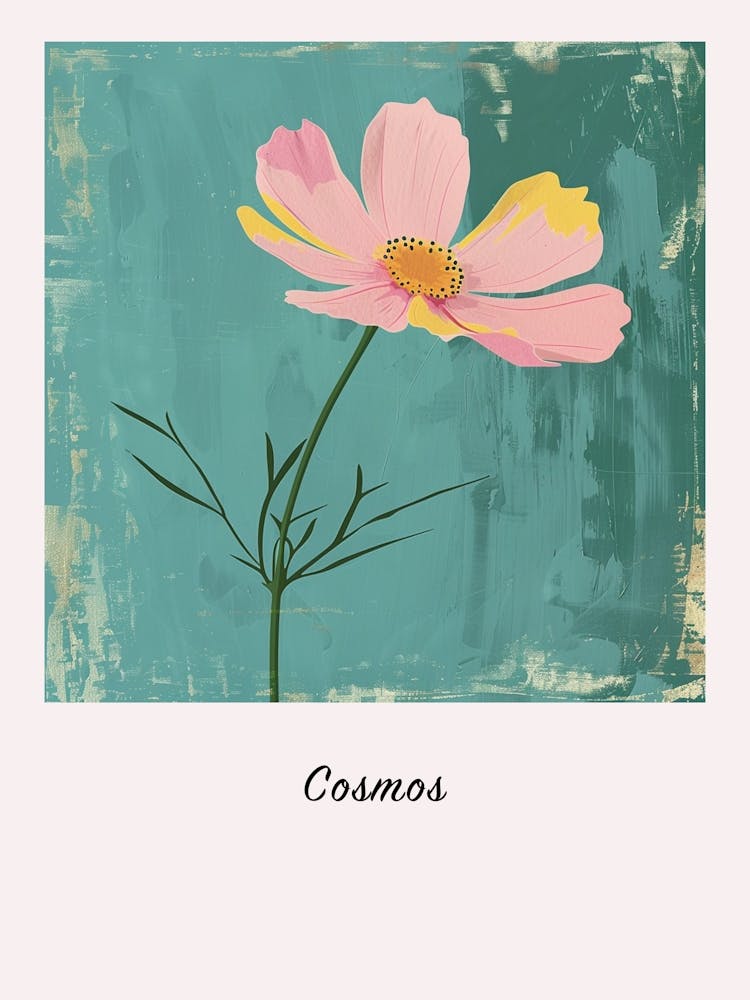 Cosmos 2 Square Flower Illustration Poster