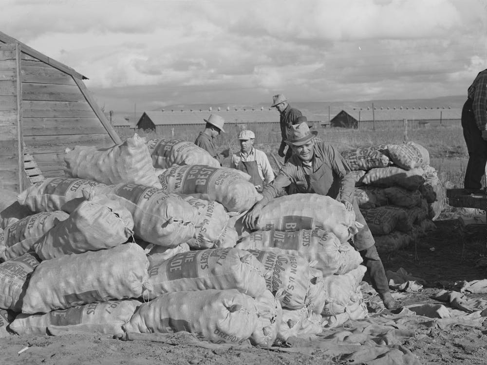 Sacks Of Potatoes, Klamath County, Oregon By Russell Lee