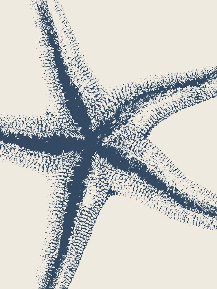Seestern in Blau, Stranddekor, Minimalistische Küstenkunst