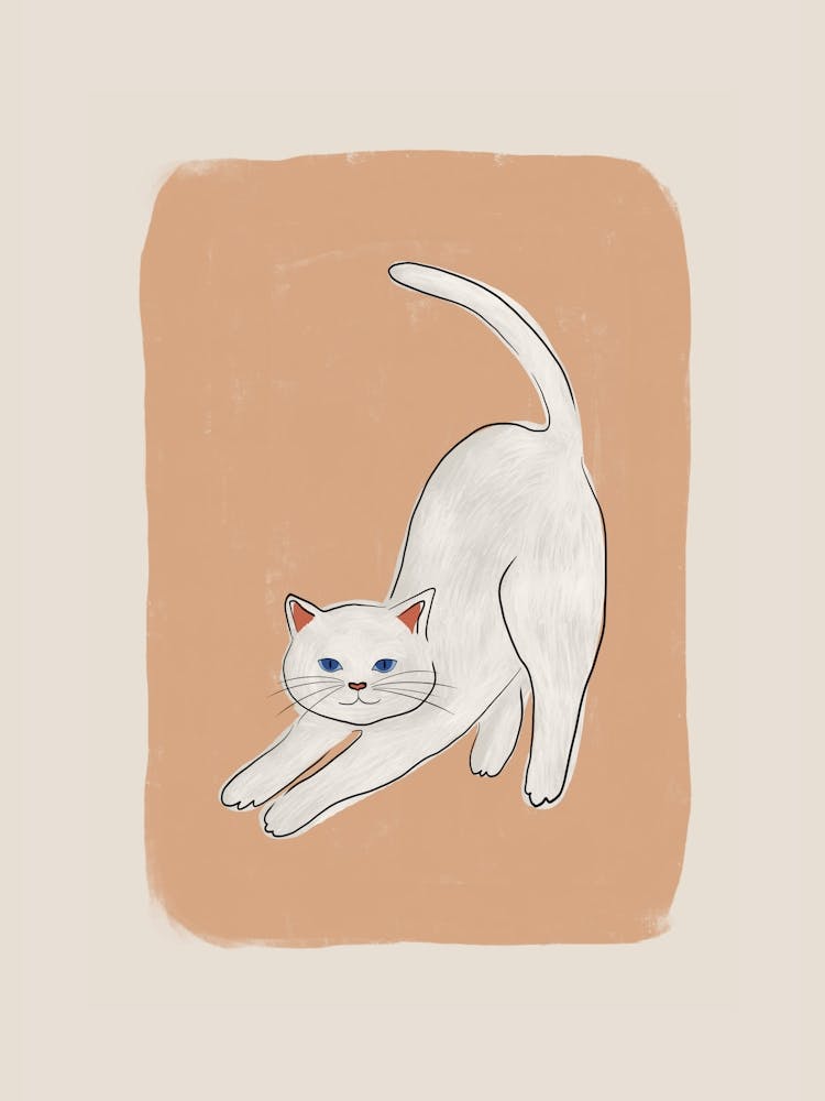 White Cat