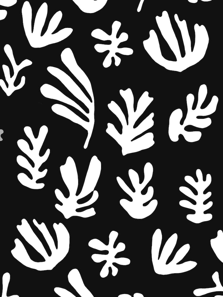 Matisse Art Leaves Black White