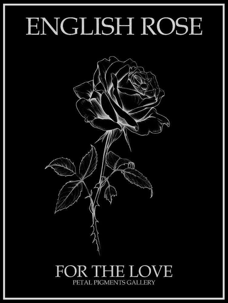 English Rose Black And White Line Drawing 40 Poster Inverted