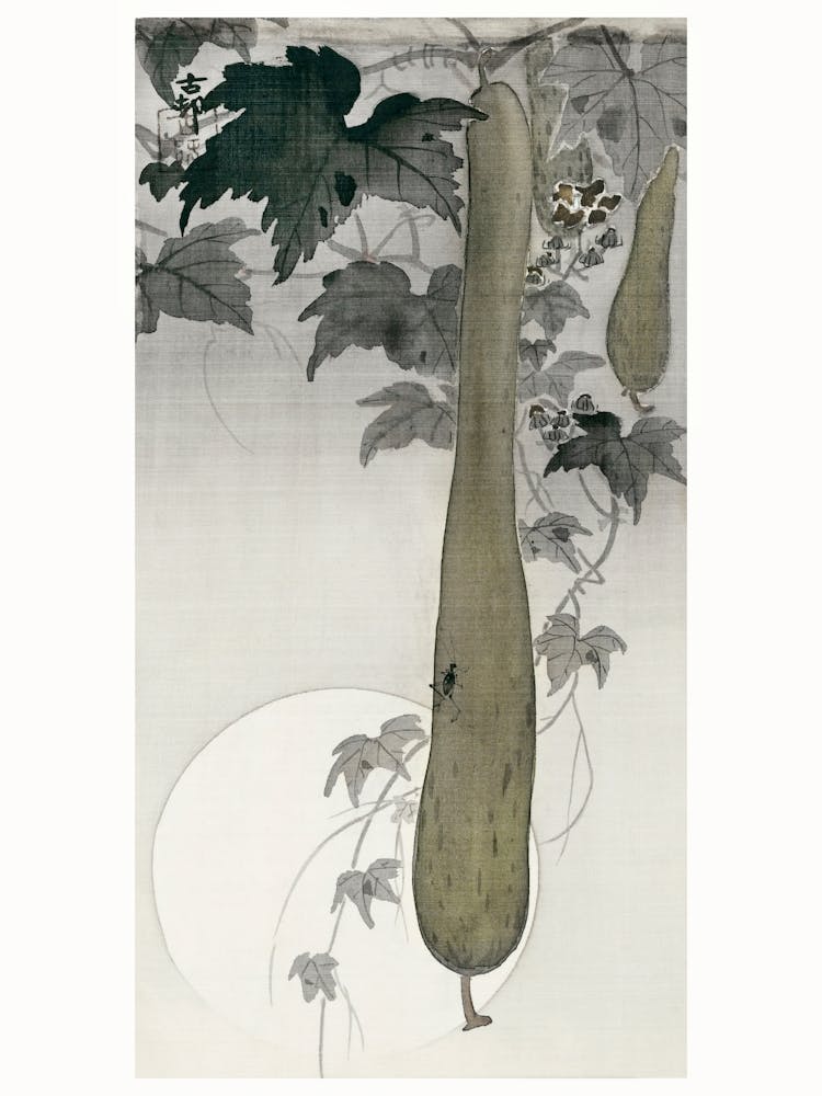 Wild Cucumber And A Full Moon (1877 1945), Ohara Koson