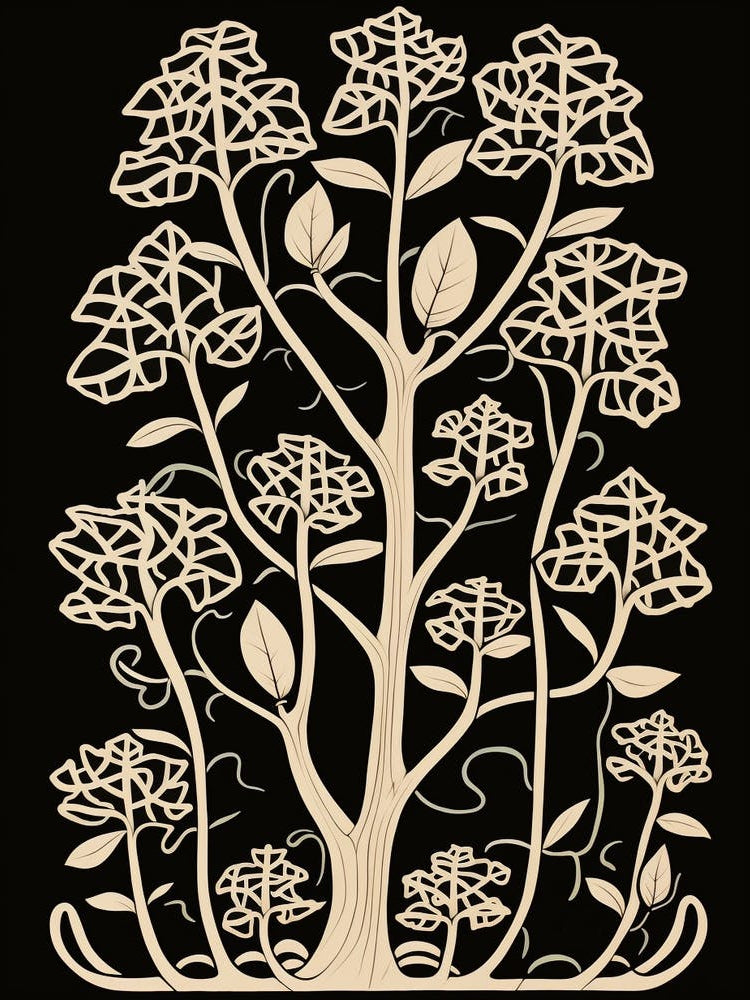 B&W Plant Illustration Mother Of Thousands