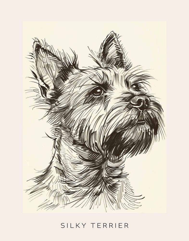 Silky Terrier Dog Line Sketch 4 Poster