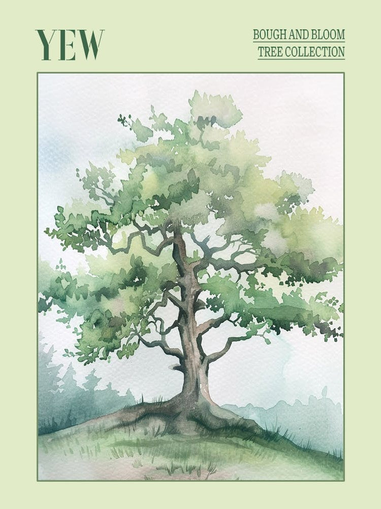 Yew Tree Atmospheric Watercolour Painting 1 Poster