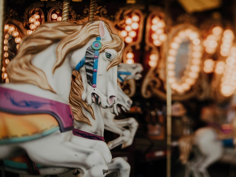 Horses And Memories