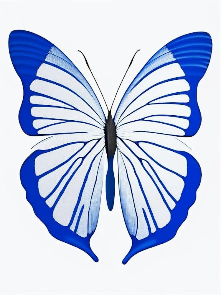 Butterfly Symbol Blue And White Line Drawing