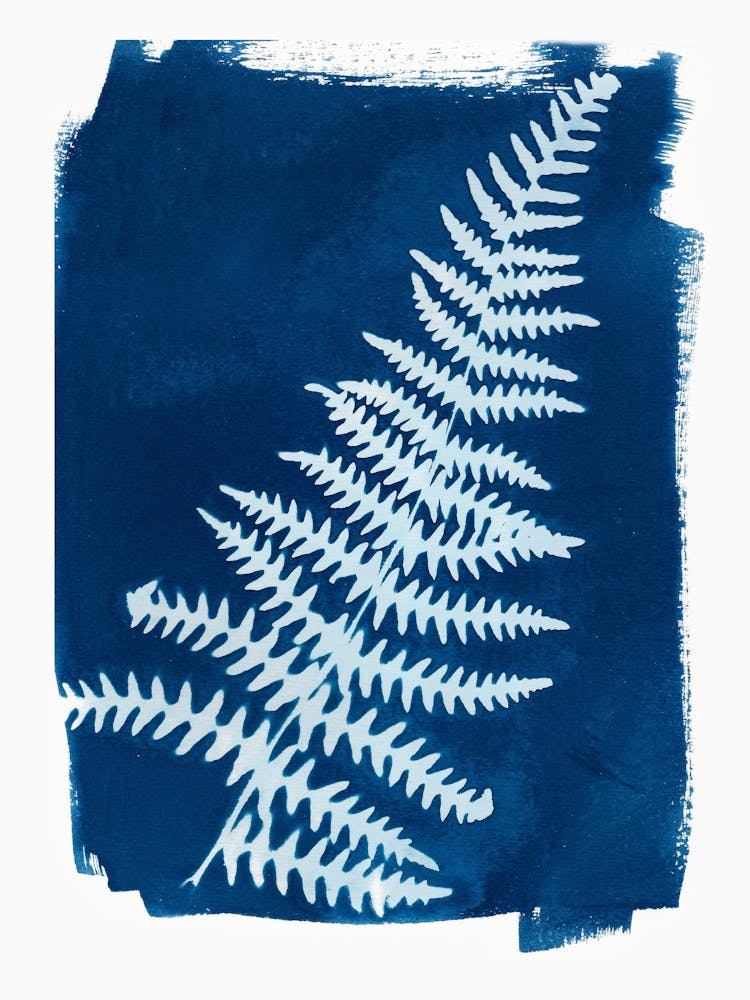 Fern Leaf Botanical Vintage Cyanotype Blue