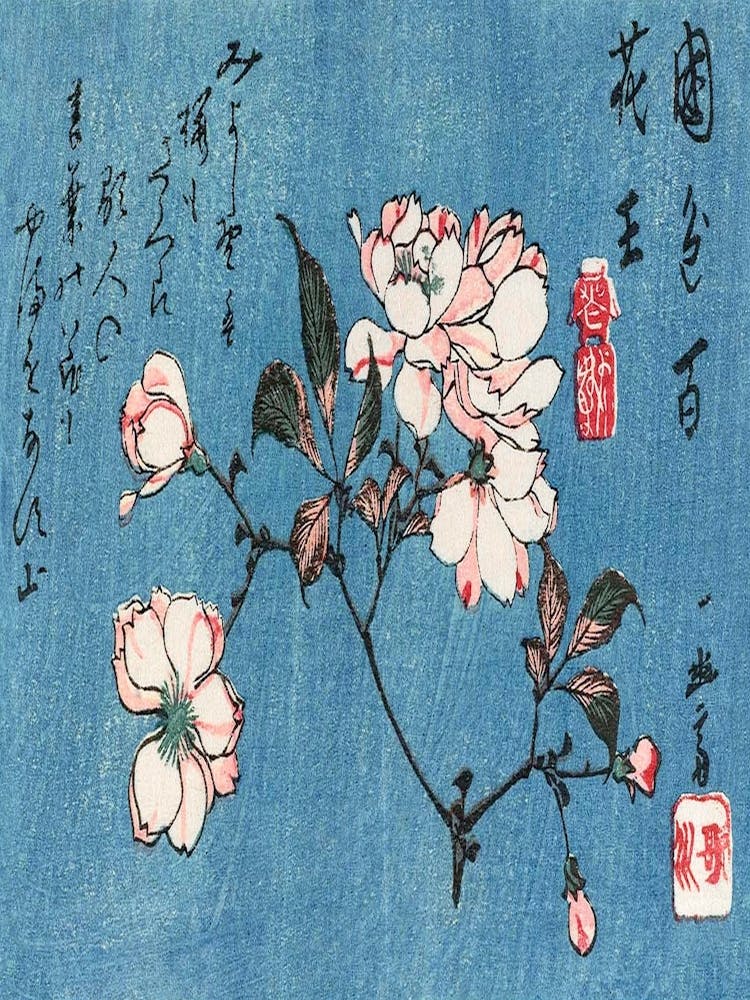 Fleurs de Cerisier 2