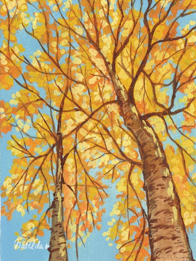 Autumn