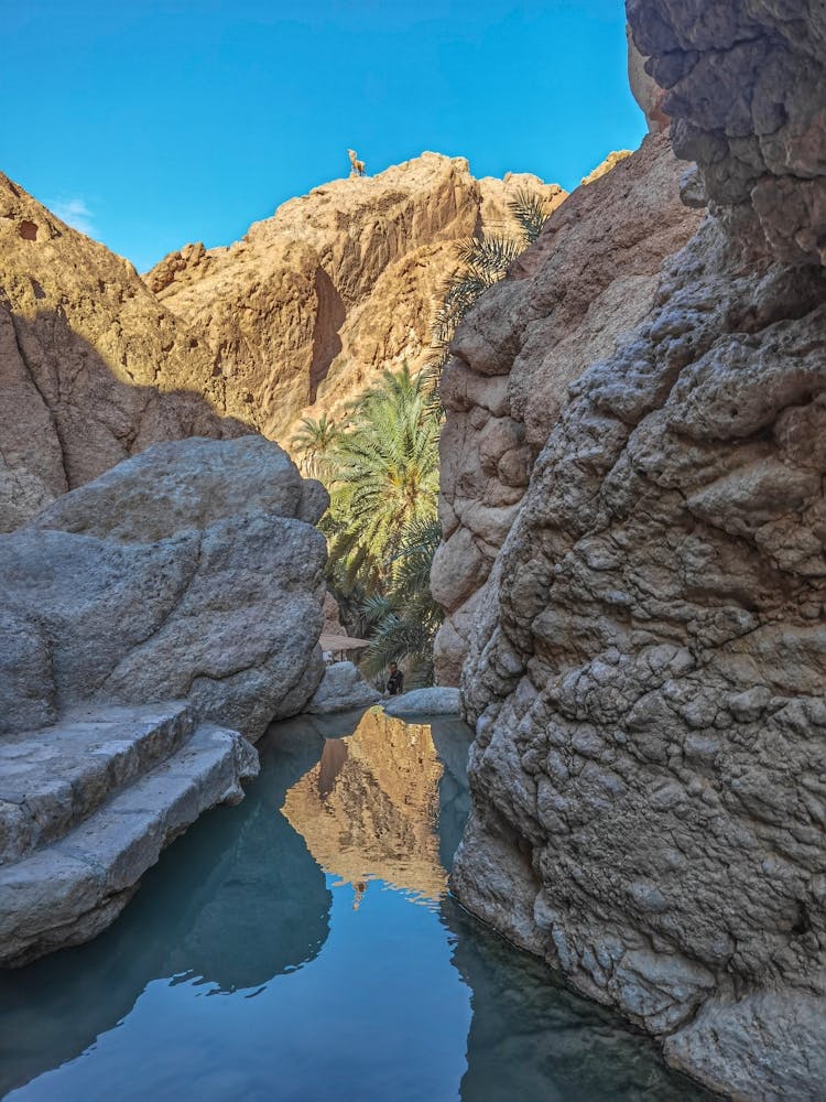 Emerald gem, where palm trees rise like sentinels guarding the ancient mountain slopes.