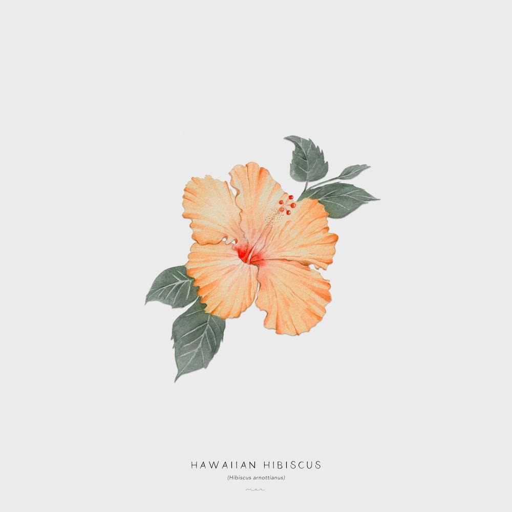 Hawaiian Hibiscus Off White Square